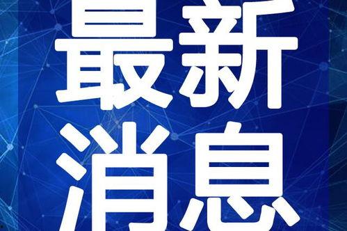 河源头条爆料新闻视频最新,最新爆料视频揭示惊人真相！
