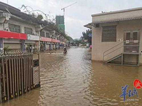 英德洪水爆料视频最新,最新爆料视频揭示惊人现场！