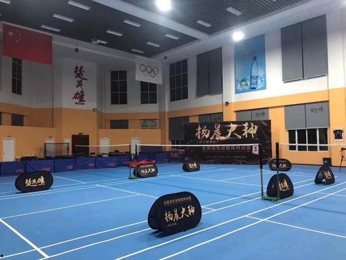 杨晨大神爆料天佑最新动态